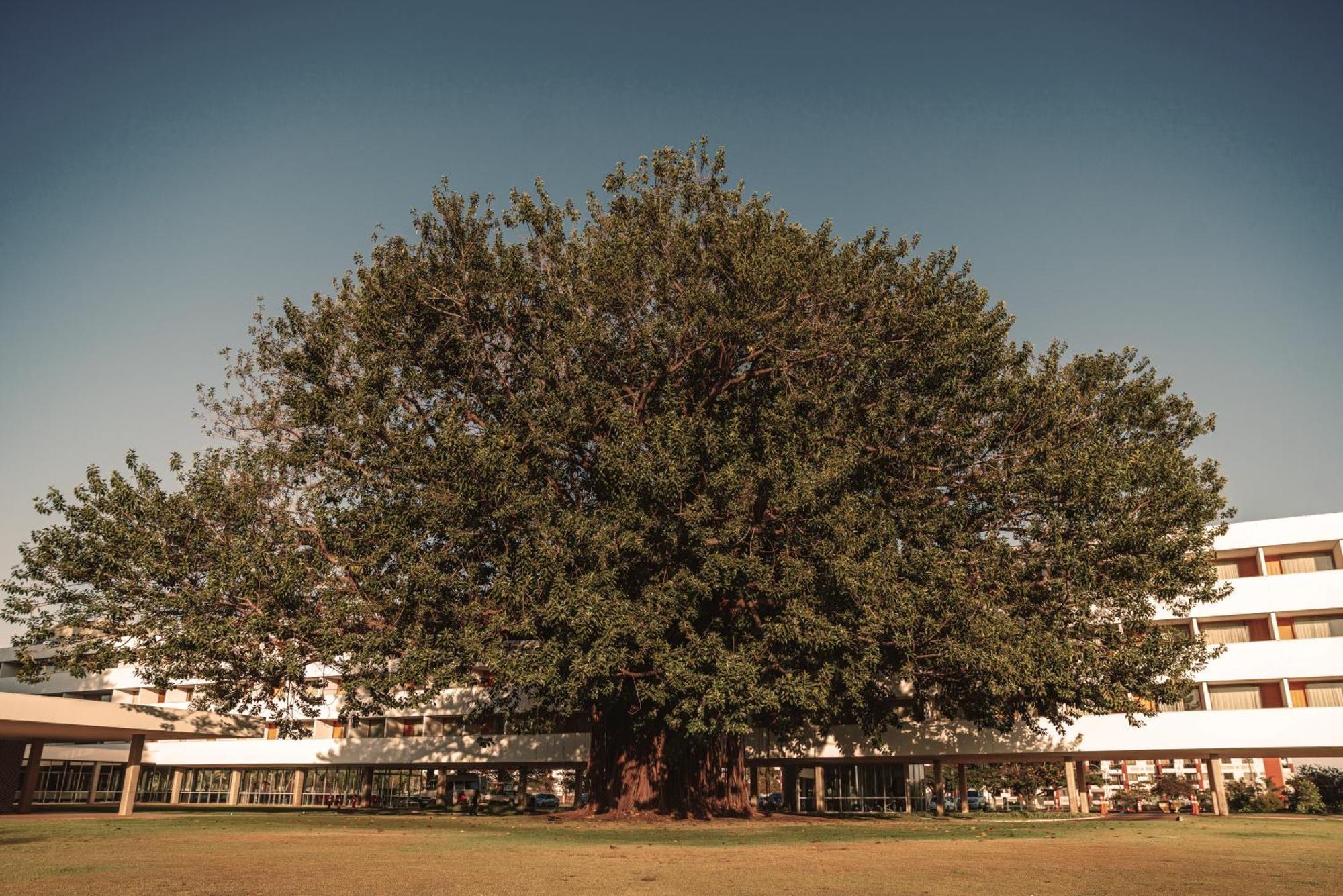 Brasilia Palace Hotel Exterior photo
